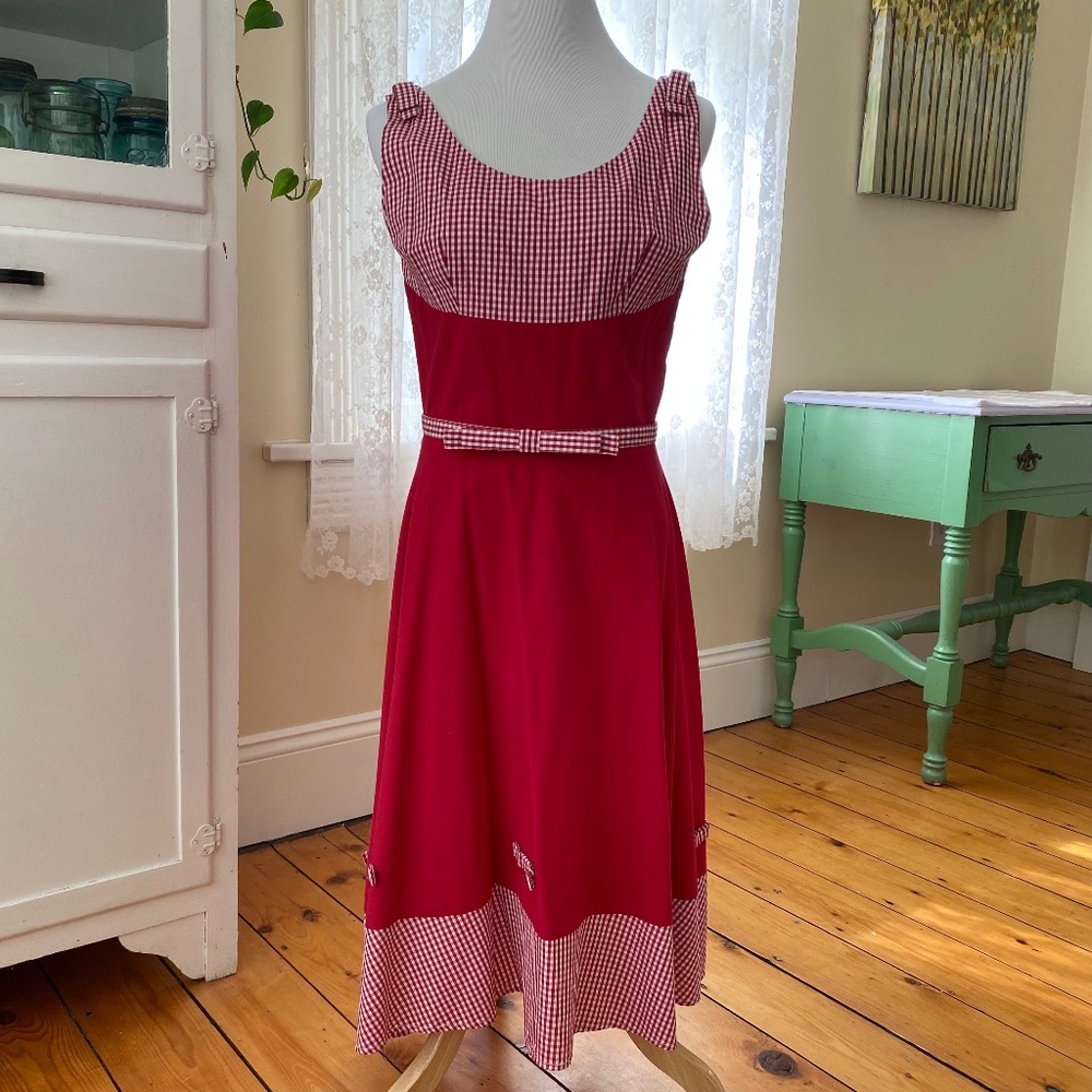 Trashy Diva Red and White Gingham Atlanta Dress 8